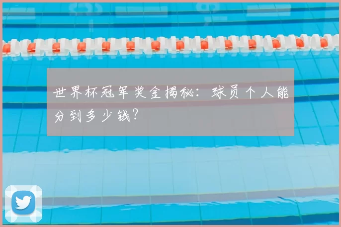 世界杯冠军奖金揭秘：球员个人能分到多少钱？