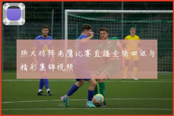 热火对阵老鹰比赛直播全场回放与精彩集锦视频