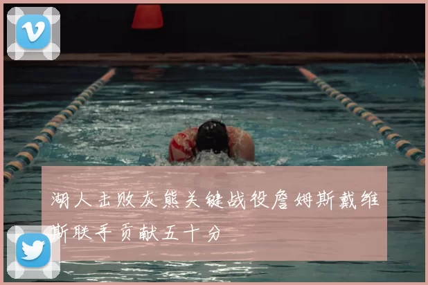 湖人击败灰熊关键战役詹姆斯戴维斯联手贡献五十分