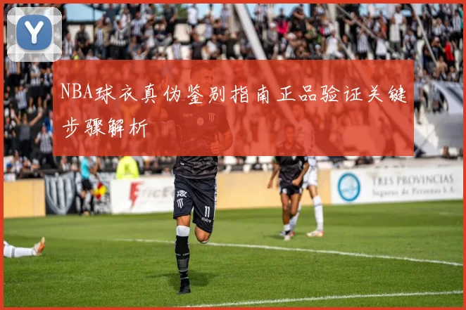NBA球衣真伪鉴别指南正品验证关键步骤解析