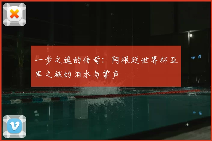 一步之遥的传奇：阿根廷世界杯亚军之旅的泪水与掌声