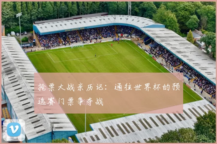 抢票大战亲历记：通往世界杯的预选赛门票争夺战