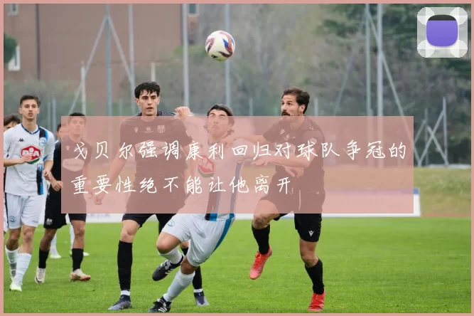 戈贝尔强调康利回归对球队争冠的重要性绝不能让他离开