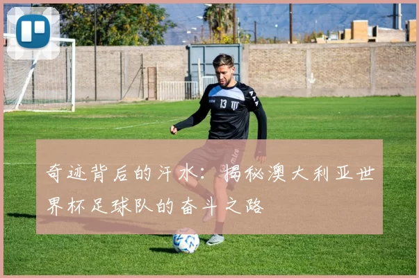 奇迹背后的汗水：揭秘澳大利亚世界杯足球队的奋斗之路