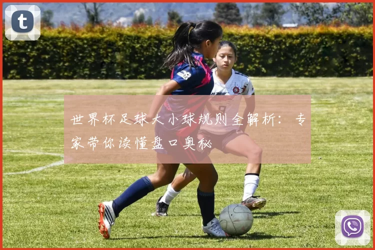世界杯足球大小球规则全解析：专家带你读懂盘口奥秘