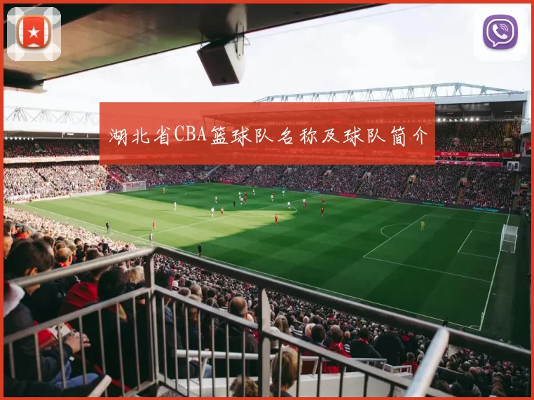 湖北省CBA篮球队名称及球队简介
