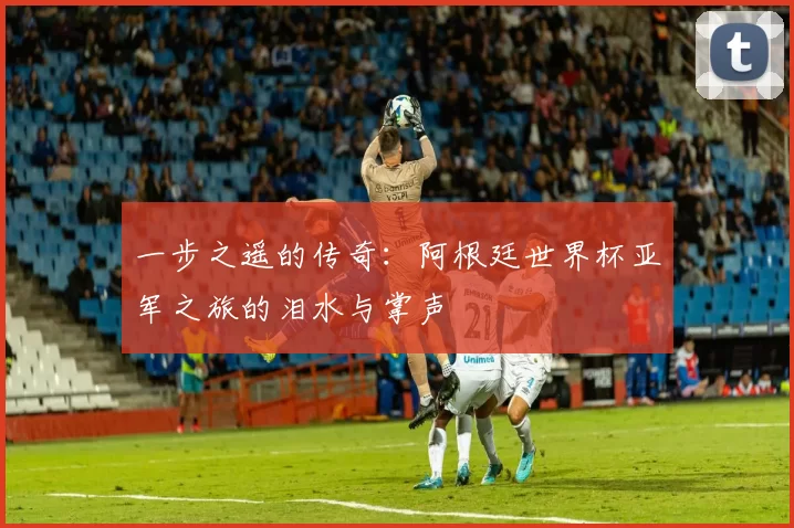 一步之遥的传奇：阿根廷世界杯亚军之旅的泪水与掌声