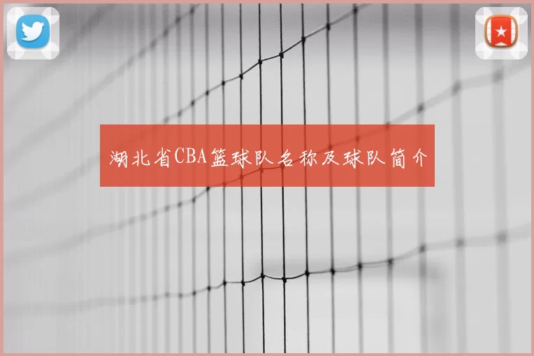 湖北省CBA篮球队名称及球队简介