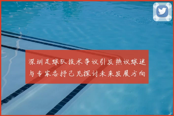 深圳足球队技术争议引发热议球迷与专家各抒己见探讨未来发展方向