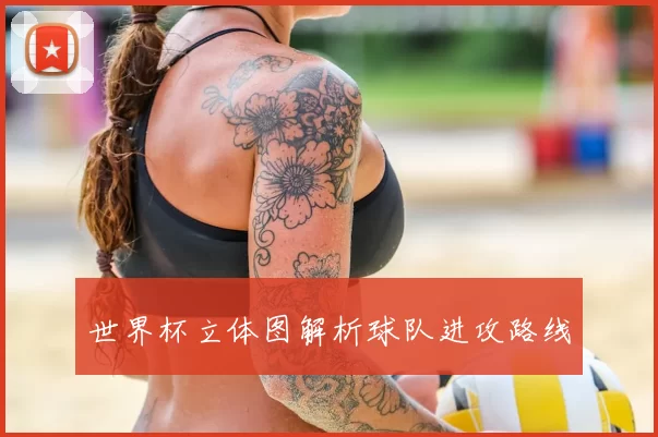 世界杯立体图解析球队进攻路线