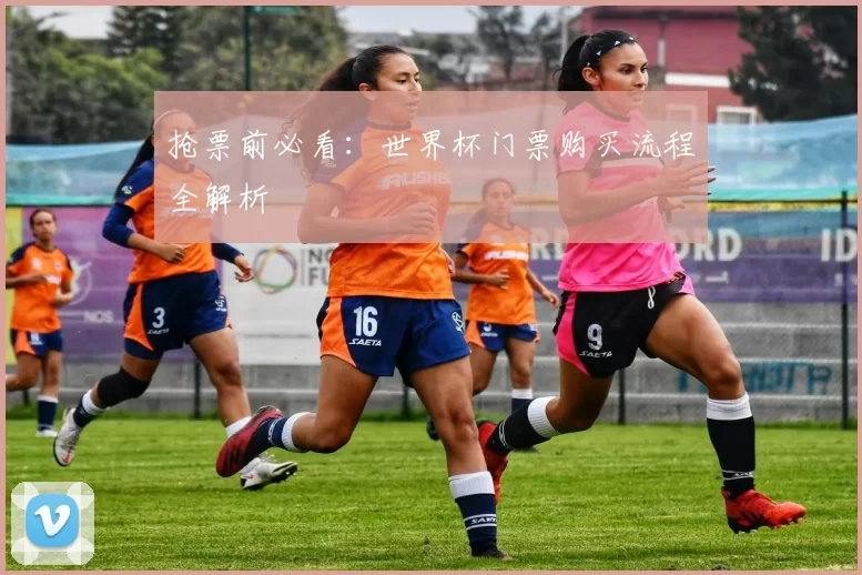抢票前必看：世界杯门票购买流程全解析