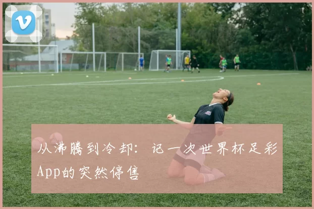 从沸腾到冷却：记一次世界杯足彩App的突然停售
