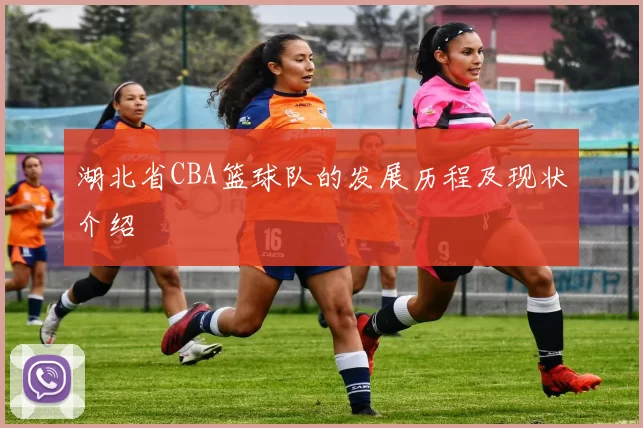 湖北省CBA篮球队的发展历程及现状介绍