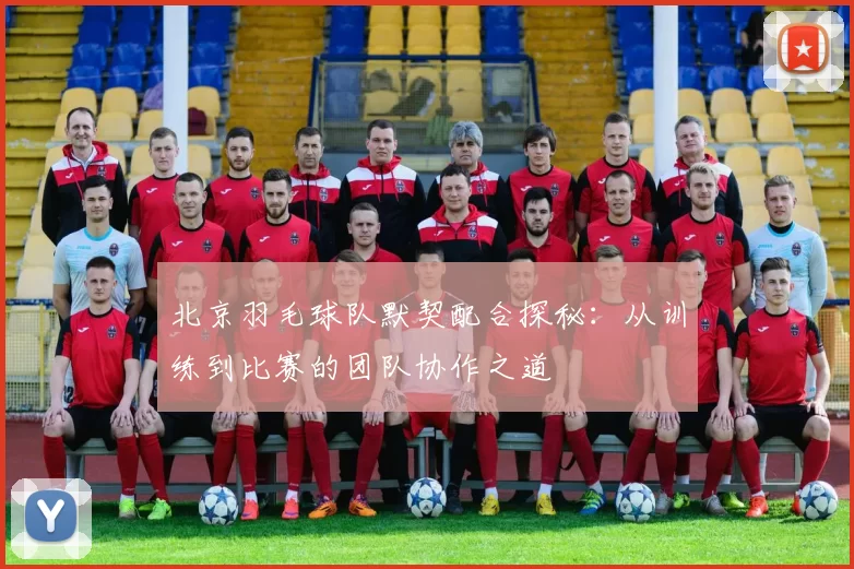 北京羽毛球队默契配合探秘：从训练到比赛的团队协作之道
