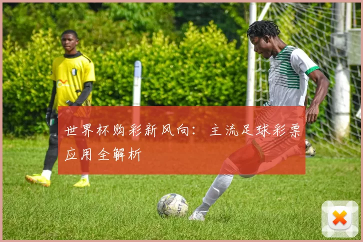 世界杯购彩新风向：主流足球彩票应用全解析