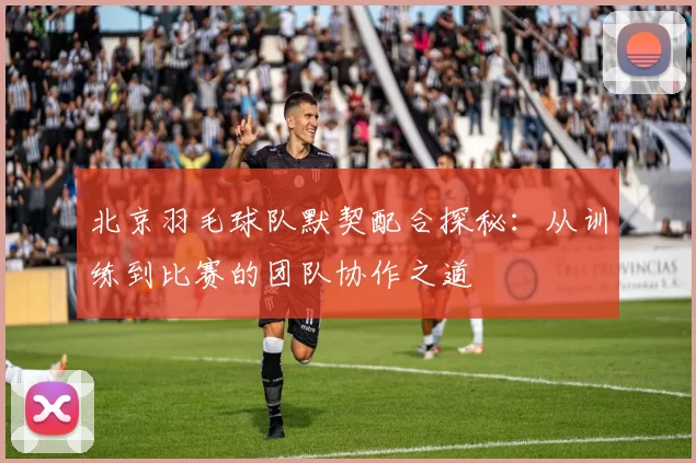 北京羽毛球队默契配合探秘：从训练到比赛的团队协作之道