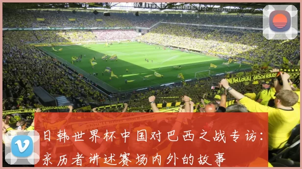 日韩世界杯中国对巴西之战专访：亲历者讲述赛场内外的故事