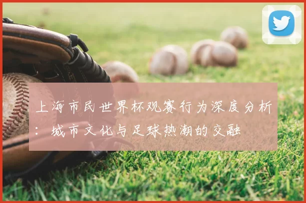上海市民世界杯观赛行为深度分析:城市文化与足球热潮的交融