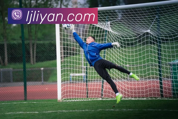 华体会appAPP 封面图